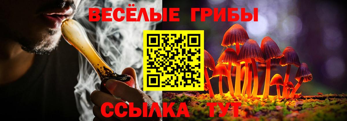 Псилоцибиновые грибы мицелий Калач-на-Дону